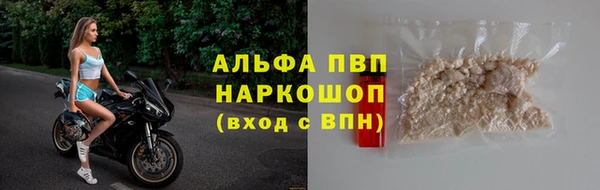 прущие грибы Абаза