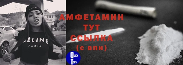 прущие грибы Абаза