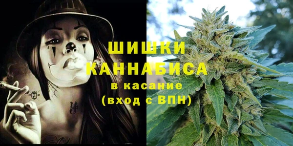 прущие грибы Абаза
