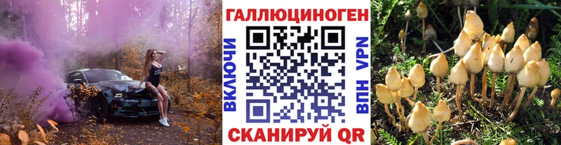 Псилоцибиновые грибы Magic Shrooms Ступино