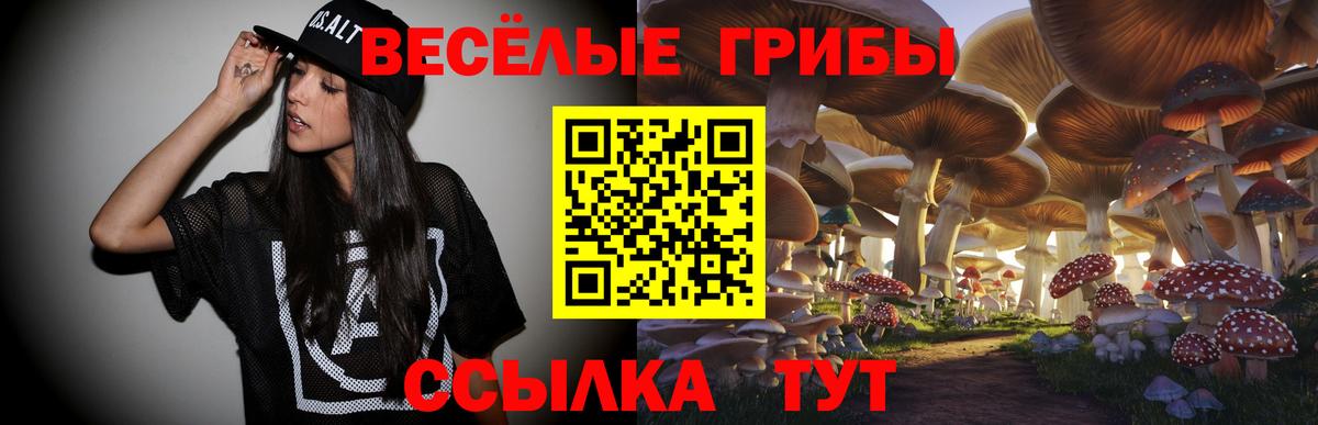 Ступино  Псилоцибиновые грибы MAGIC MUSHROOMS  где купить наркоту  Вход с VPN 