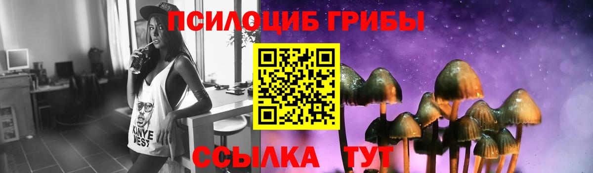 Псилоцибиновые грибы мухоморы Ступино